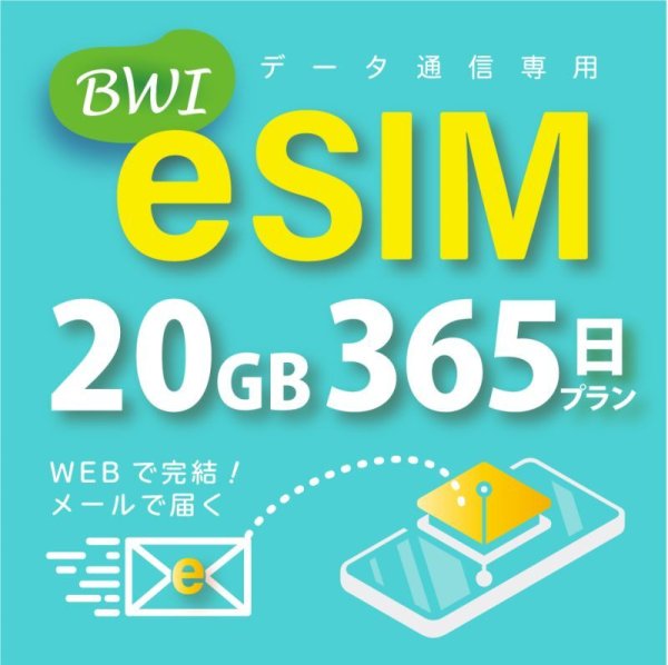 画像1: 【eSIM/メール納品】docomoMVNO回線 データ専用 SIMカード 20GB/365日※※eSIMにつき5％OFF※※ (1)