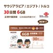 画像1: 不課税【物理SIM/ネコポスゆうパケット発送】China Unicom HK サウジアラビア/エジプト/トルコ データ通信専用 プリペイドSIMカード 30日 6GB (1)