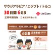 画像1: 不課税【物理SIM/ネコポスゆうパケット発送】China Unicom HK サウジアラビア/エジプト/トルコ データ通信専用 プリペイドSIMカード 30日 6GB (1)