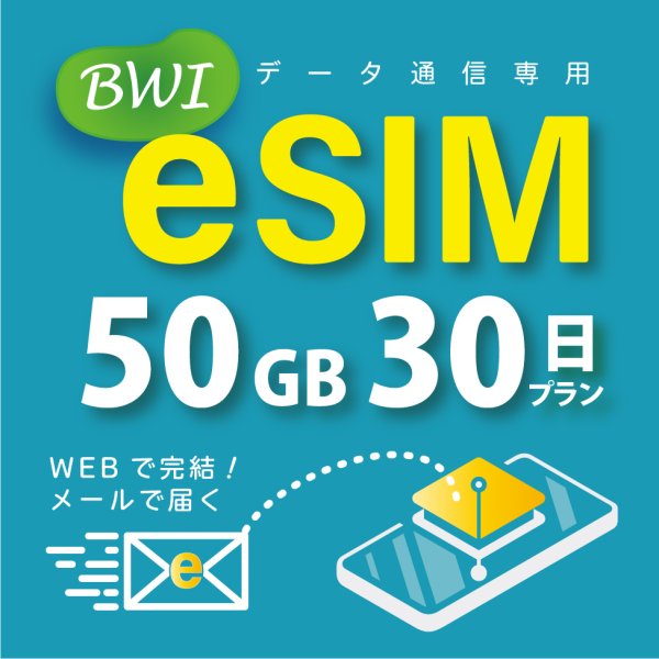 画像1: 【eSIM/メール納品】docomoMVNO回線 データ専用 SIMカード 50GB/30日※※eSIMにつき5％OFF※※ (1)
