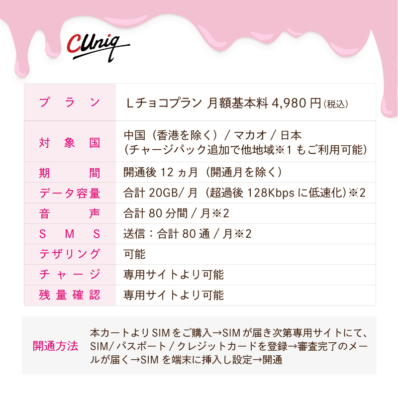 Lプラン