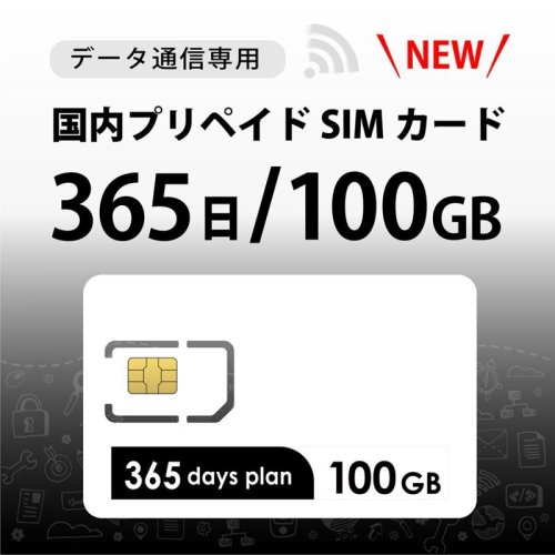 DocomoMVNO回線データ専用100GB/365日プラン